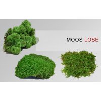 Gr�nraumgestaltung