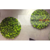 Gr�nraumgestaltung