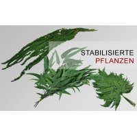 Gr�nraumgestaltung