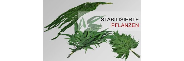Stabilisierte-Pflanzen