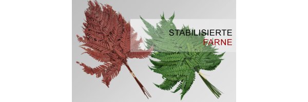 Stabiliserte Farne
