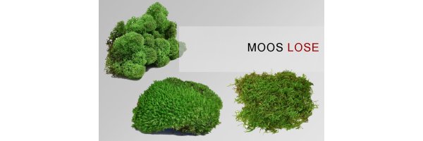 Moos Lose
