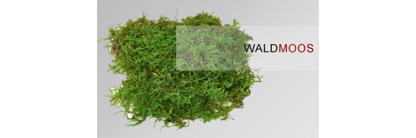 Wald-/Lappenmoos