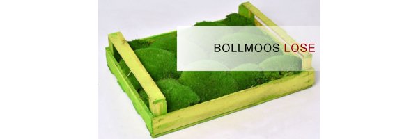 Bollmoos