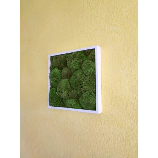 Moosbilder - Rahmen eckig weiss - Polstermoos Premium - Apfelgr�n