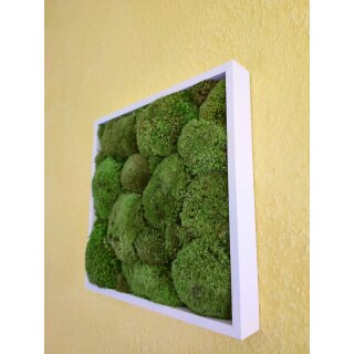 Moosbilder - Rahmen eckig weiss - Polstermoos Premium - Apfelgr�n 30 x 100 cm