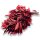 Stabilisierter Efeu - Hedera - Rot - Strauß 150 Gramm