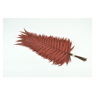 Stabilisierte Farne - Parchment Farn - Farbe Rot