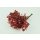 Stabilisierter Pittosporum Klebsamen - Farbe Rot -100 Gramm
