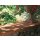 Mauerabdeckung Chaperon Florentina - Rouge - 25,5 cm Breit