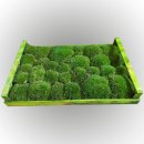 Bollenmoos - Kugelmoos - Lose - Farbe Grün - Kiste 58 x 38 cm