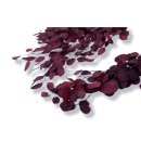 Stabilisierter Eukalyptus Populus - Farbe Rot - Bund 150...