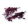 Stabilisierter Eukalyptus Populus - Farbe Rot - Bund 150 Gramm