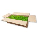 Canopy Polstermoos Konserviert - Farbe Hellgrün - 0,60 - 0,80 qm pro Karton