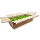 Canopy Polstermoos Konserviert - Farbe Hellgrün - 0,60 - 0,80 qm pro Karton