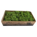 Islandmoos - Rentiermoos - Lose im Karton - 450 Gramm -...