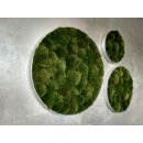 Moosbild Bollmoos - Alurahmen Rund - Farbe Waldgrün - Durchmesser 40 cm