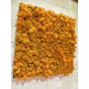Moosbilder - Alurahmen eckig gebürstet - Islandmoos Orange
