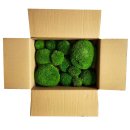 Polstermoos - Hellgrün - Lose verpackt - 0,10 qm pro...