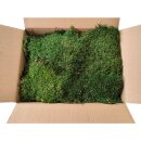Stabilisiertes Lappen- /Waldmoos - Farbe Waldgrün -...