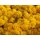 Islandmoos - Lose verpackt - 5 kg im Karton - Gelb
