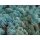 Islandmoos - Lose verpackt - 5 kg im Karton - Aquamarin