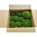 Polstermoos - Waldgrün - Lose verpackt - 0,10 qm pro...