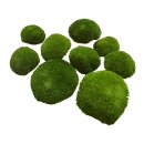 Polstermoos - Waldgrün - Lose verpackt - 0,10 qm pro Karton