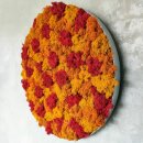 Moosbild Islandmoos - Elements Fire - Alurahmen Rund