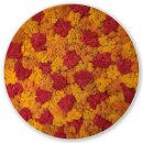 Moosbild Islandmoos - Elements Fire - Alurahmen Rund