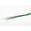 Stabilisiertes Bear Grass - Farbe Grün - 100 Gramm pro Bund