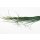 Stabilisiertes Bear Grass - Farbe Grün - 100 Gramm pro Bund