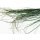 Stabilisiertes Bear Grass - Farbe Grün - 100 Gramm pro Bund