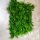 Kunstpflanzen-Matte - Farne / Juniperus - 50x50 cm