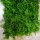 Kunstpflanzen-Matte - Farne / Juniperus - 50x50 cm