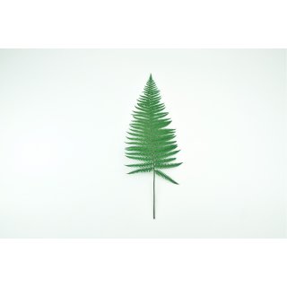 Stabilisierte Farne - Parchment Farn - Farbe Gr�n