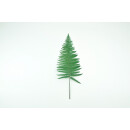 Stabilisierte Farne - Pergament Farn - Farbe Grün