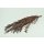 Stabilisierter Eukalyptus Nicoly - Farbe Rot - 150 Gramm Bund