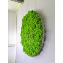 Moosbild Islandmoos - Frühlingsgrün - Alurahmen Rund - Durchmesser 50 cm - Alufarbend Gebürstet