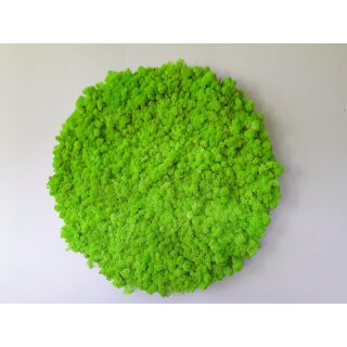Moosbild Islandmoos - Frühlingsgrün - Alurahmen Rund - Durchmesser 70 cm - Weiss Lackiert
