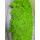 Moosbild Islandmoos - Frühlingsgrün - Alurahmen Rund - Durchmesser 70 cm - Weiss Lackiert