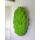 Moosbild Islandmoos - Frühlingsgrün - Alurahmen Rund - Durchmesser 70 cm - Weiss Lackiert