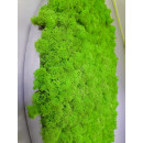 Moosbild Islandmoos - Frühlingsgrün - Alurahmen Rund - Durchmesser 70 cm - Schwarz Lackiert