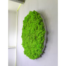 Moosbild Islandmoos - Frühlingsgrün - Alurahmen Rund - Durchmesser 70 cm - Schwarz Lackiert