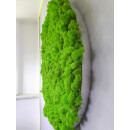 Moosbild Islandmoos - Frühlingsgrün - Alurahmen Rund - Durchmesser 70 cm - Schwarz Lackiert