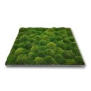 Moosbilld Polstermoos Waldgrün - Alurahmen Eckig 40 x 60 cm-Schwarz Lackiert