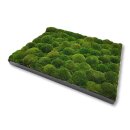 Moosbilld Polstermoos Waldgrün - Alurahmen Eckig 40 x 60 cm-Schwarz Lackiert
