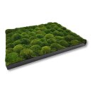Moosbilld Polstermoos Waldgrün - Alurahmen Eckig 40 x 60 cm-Schwarz Lackiert