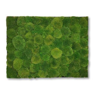 Moosbilld Polstermoos Waldgrün - Alurahmen Eckig 50 x 100 cm-Schwarz Lackiert