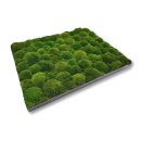 Moosbilld Polstermoos Waldgrün - Alurahmen Eckig 50 x 100 cm-Schwarz Lackiert